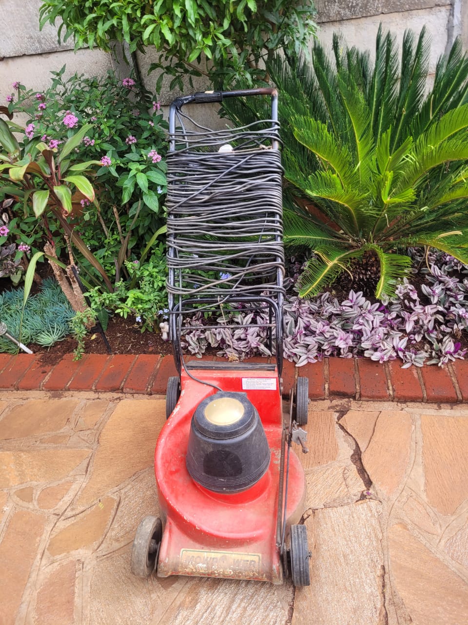 Lawnmower electric Morepower modern